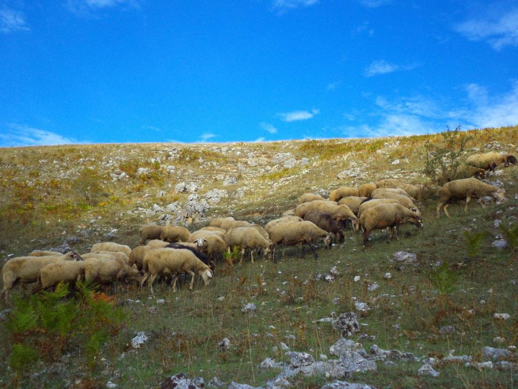 Agriturismo Casa Della Nonna Mormanno Esterno foto